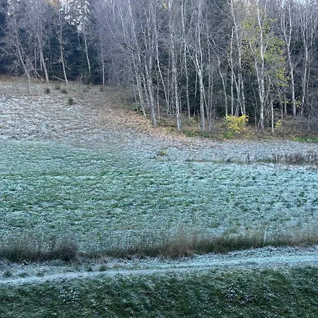 Appartement Résidence Les Avrieres - Pour 5 Personnes Mae-8911 La Plagne